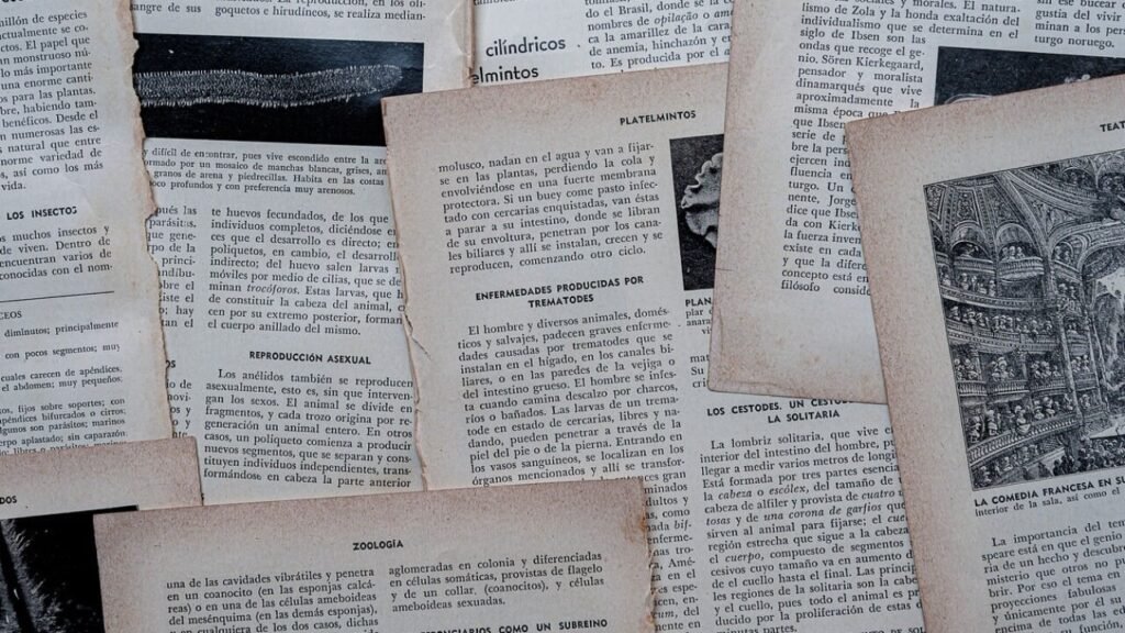 Permis de location – modèle gratuit en PDF